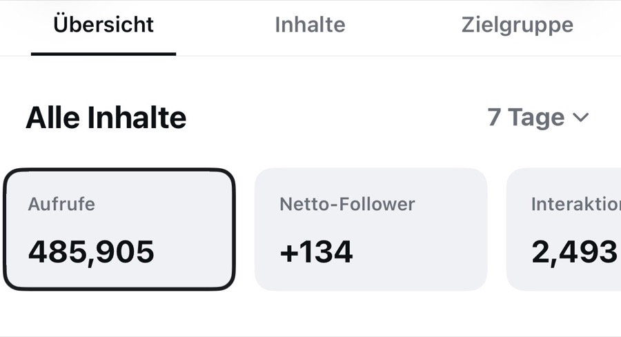 Instagram Insights: 485.000 Aufrufe, +134 Follower